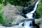 Image of KAIATE FALLS - Welcome Bay, Tauranga